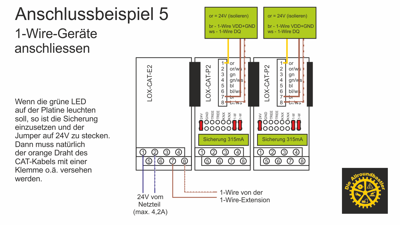 Anschlussbeispiel 5 – 1-Wire Geräte anschliessen