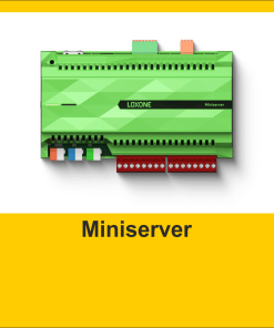 Miniserver